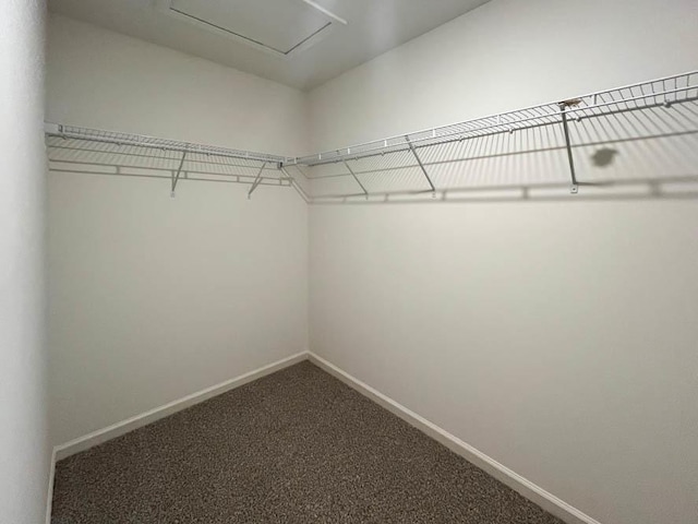 empty room with carpet flooring