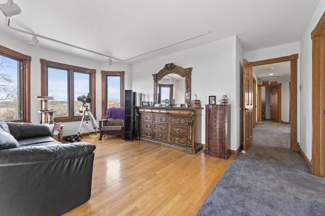 living room with light hardwood / wood-style flooring and track lighting