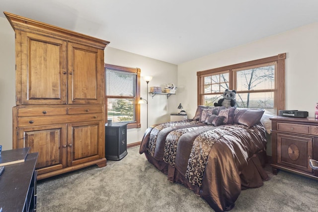 bedroom with carpet and multiple windows