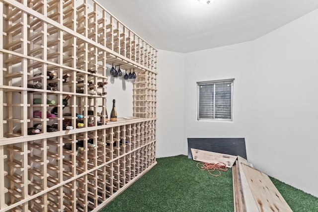 wine cellar featuring carpet