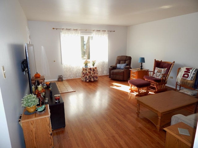 living room with hardwood / wood-style flooring