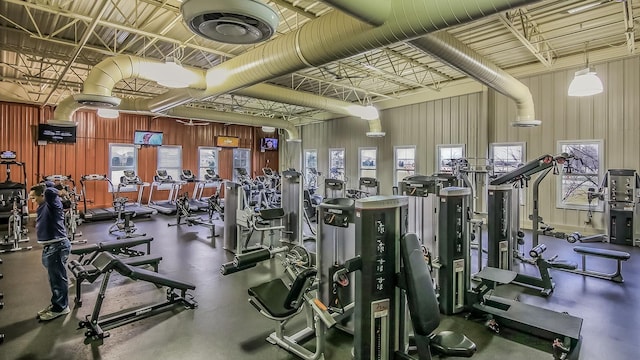 workout area featuring a wealth of natural light