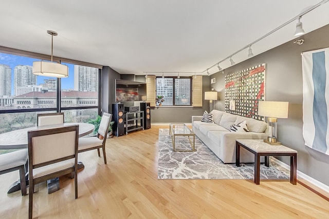 living room with a wall of windows, rail lighting, a wealth of natural light, and light hardwood / wood-style flooring