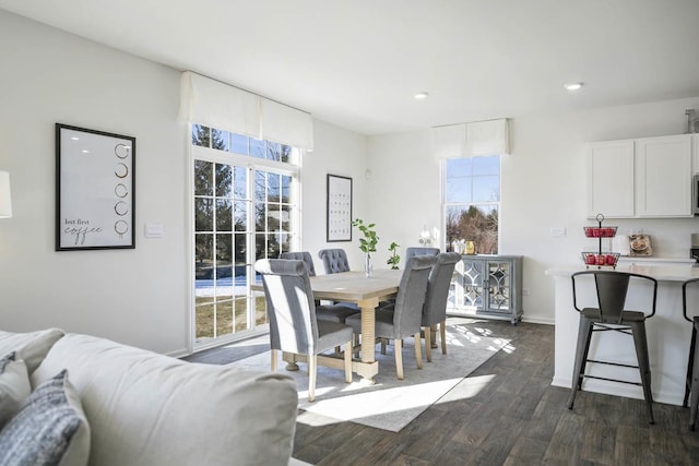 dining area featuring dark wood-type flooring