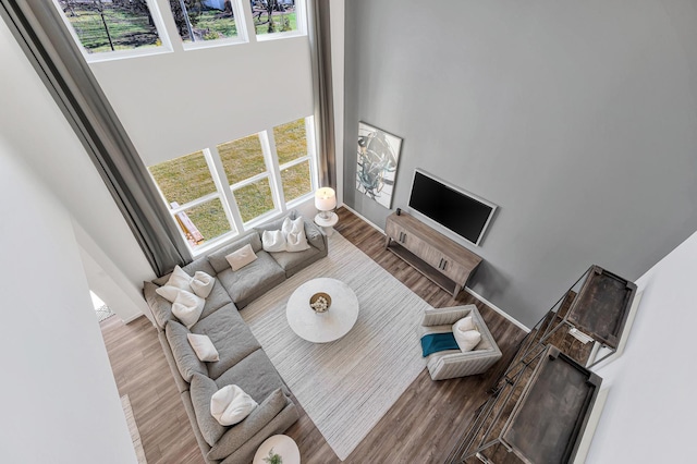 living room featuring light hardwood / wood-style floors