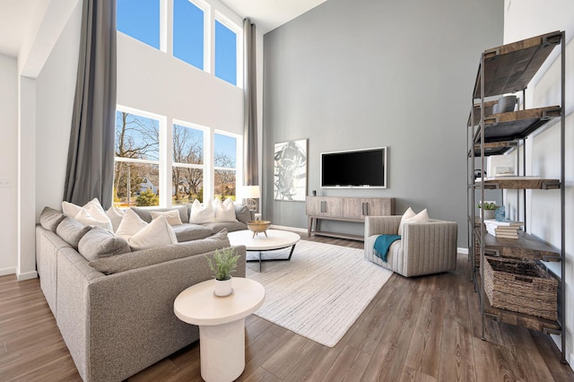 living room featuring hardwood / wood-style floors and a high ceiling