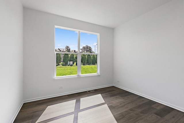 empty room featuring a wealth of natural light and dark hardwood / wood-style floors