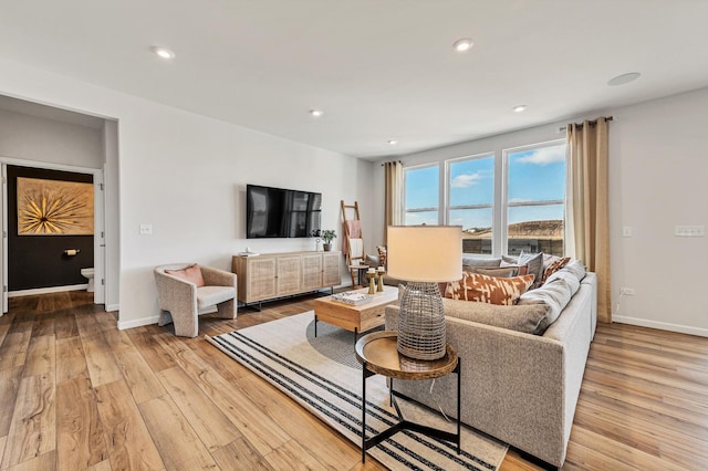 living room featuring light hardwood / wood-style flooring