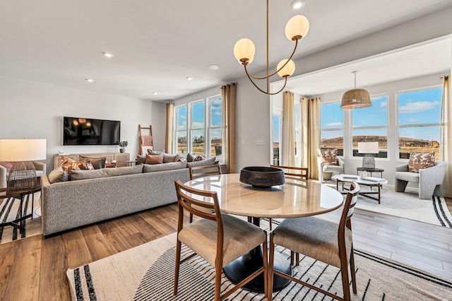 dining room featuring a wealth of natural light and hardwood / wood-style flooring