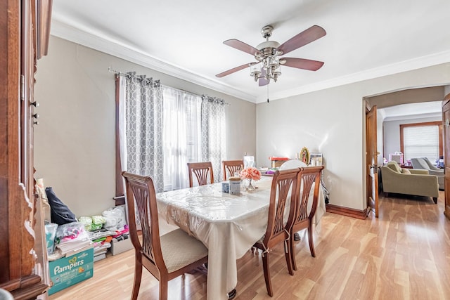 dining area with ceiling fan, ornamental molding, a wealth of natural light, and light hardwood / wood-style flooring