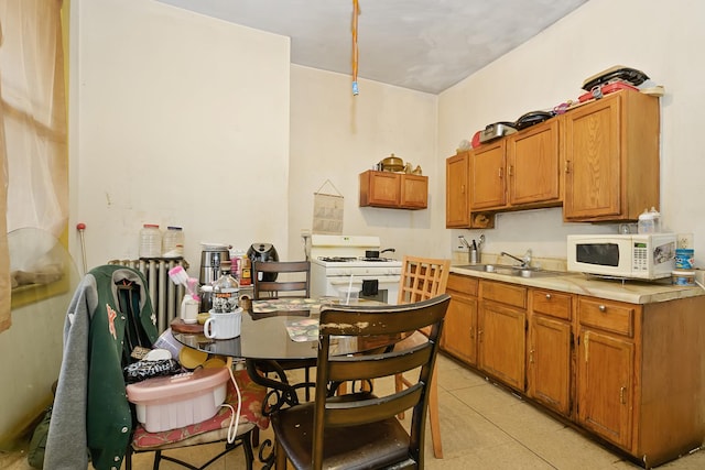 kitchen with white appliances and sink