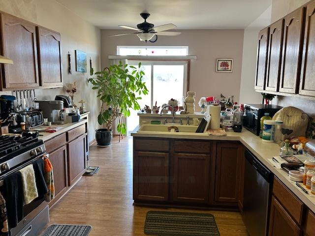 kitchen with stainless steel appliances, sink, ceiling fan, and light hardwood / wood-style flooring