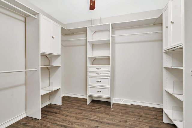 spacious closet with dark hardwood / wood-style flooring