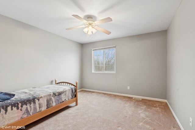 238 N Harbor Lndg, Braidwood, IL 60408 - photo 13