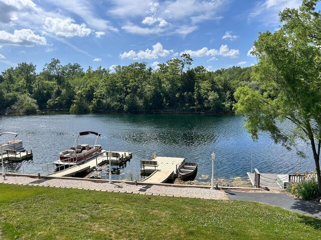 238 N Harbor Lndg, Braidwood, IL 60408 - photo 24