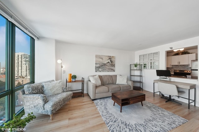 living room with light hardwood / wood-style flooring