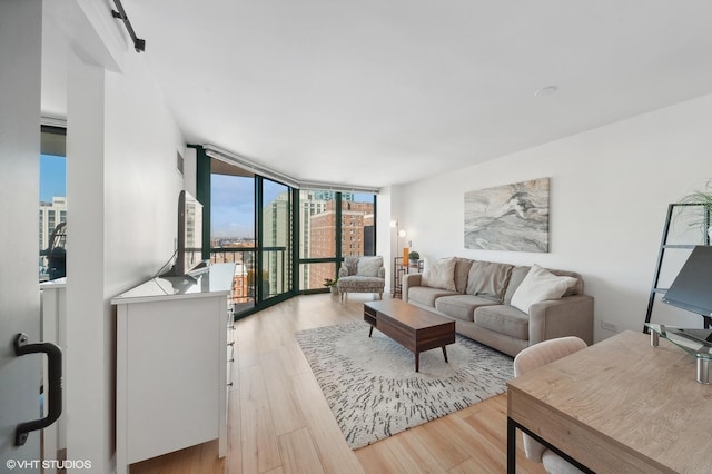 living room featuring floor to ceiling windows, a barn door, and light wood-type flooring