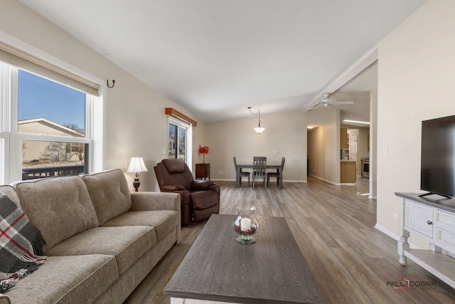 living room featuring ceiling fan, lofted ceiling, and wood-type flooring