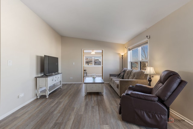 living room featuring vaulted ceiling and hardwood / wood-style floors