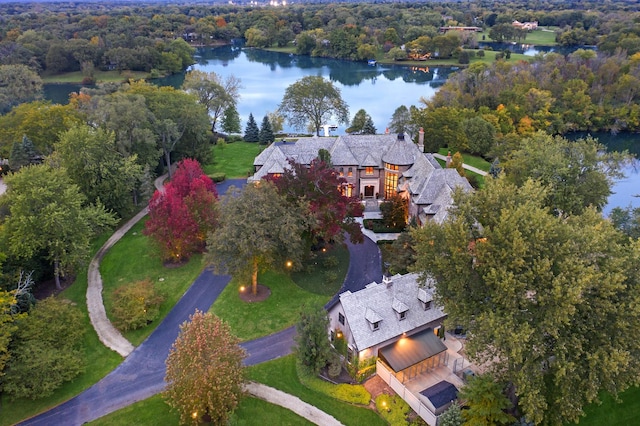 bird's eye view featuring a water view