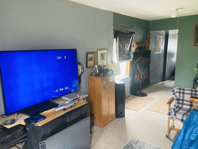 living room with carpet