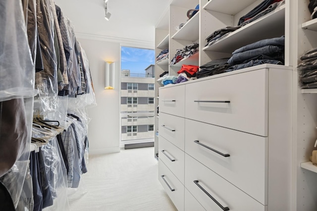 walk in closet with light carpet