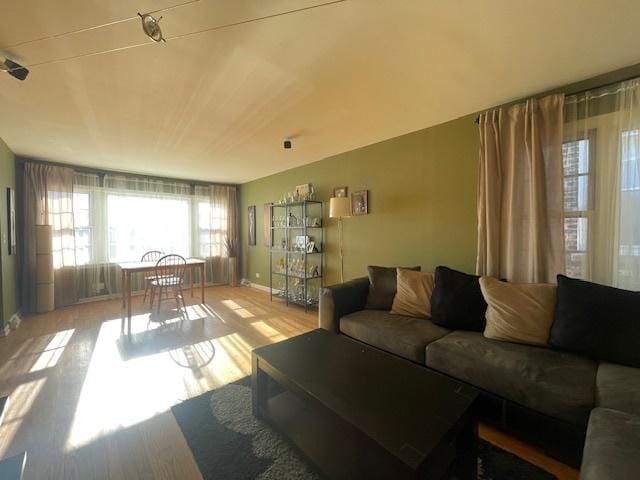 living room with light wood-type flooring