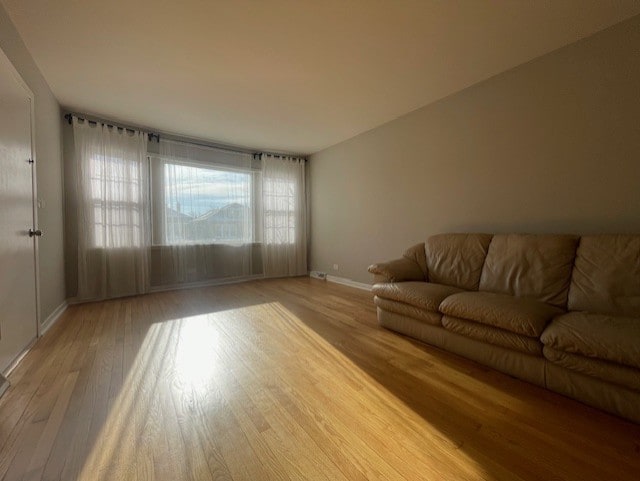 living room with light hardwood / wood-style flooring