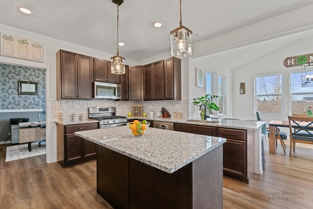 kitchen featuring stainless steel appliances, dark wood-style flooring, a sink, and dark brown cabinets