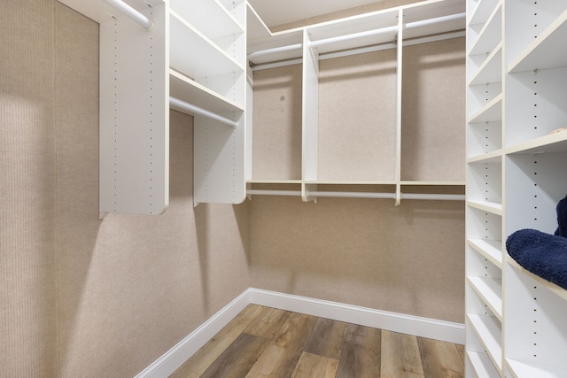 spacious closet with wood finished floors