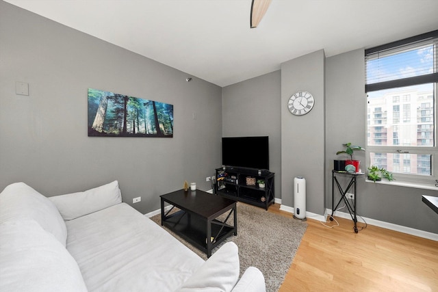 living room featuring ceiling fan and wood-type flooring