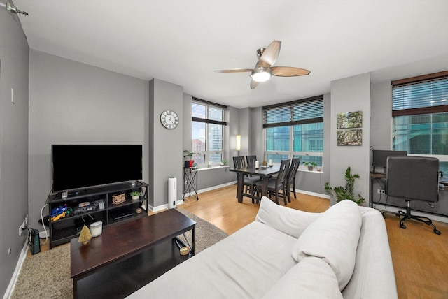 living room with ceiling fan and light hardwood / wood-style flooring