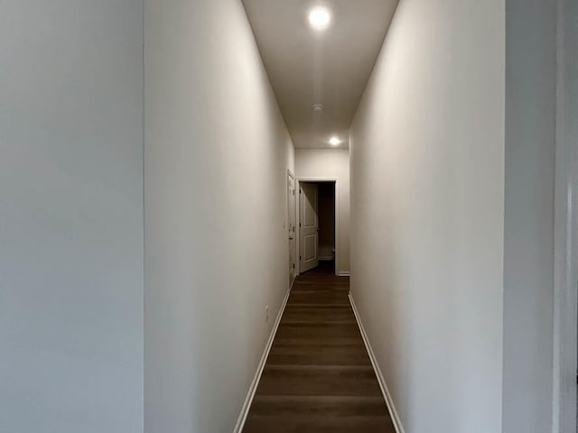 corridor with dark wood-type flooring