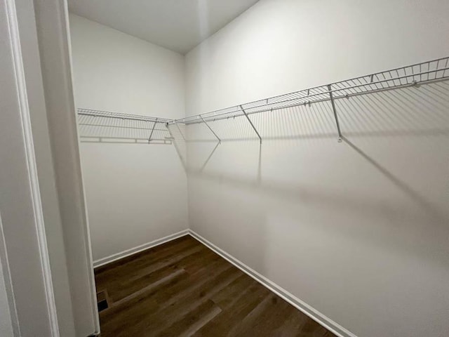 walk in closet featuring dark hardwood / wood-style flooring