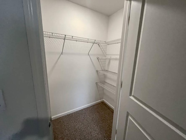 spacious closet featuring carpet