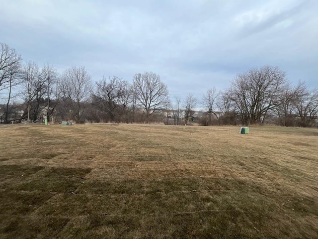 view of yard with a rural view