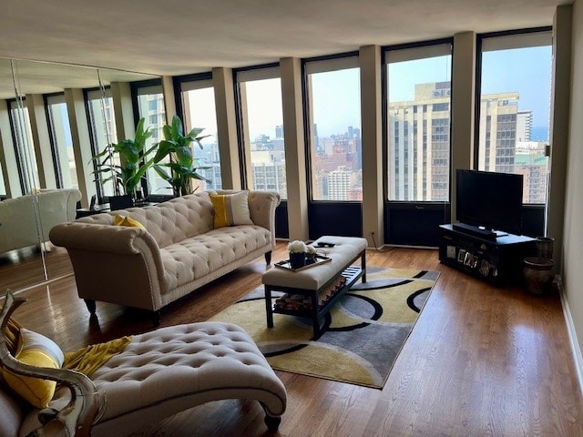 living room featuring hardwood / wood-style flooring