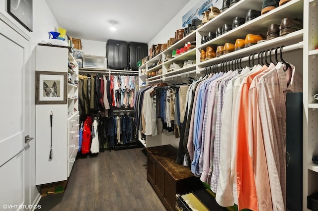 walk in closet with dark wood-type flooring