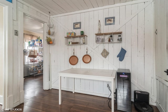 mudroom with wood walls and dark wood-type flooring