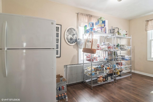 interior space with radiator heating unit, white fridge, plenty of natural light, and dark hardwood / wood-style floors