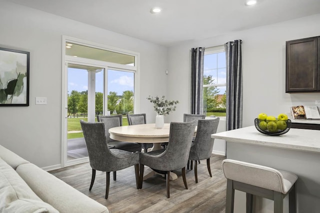 dining space with hardwood / wood-style floors and a healthy amount of sunlight