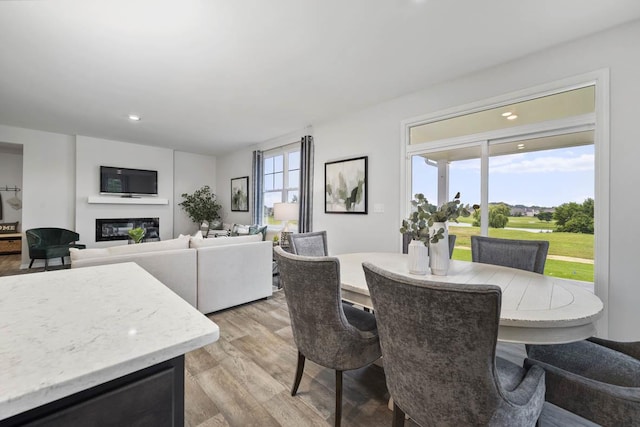 dining space featuring light hardwood / wood-style flooring