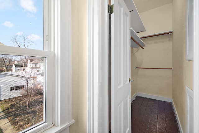 spacious closet featuring dark hardwood / wood-style floors