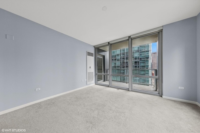 spare room with a healthy amount of sunlight, a wall of windows, and carpet floors