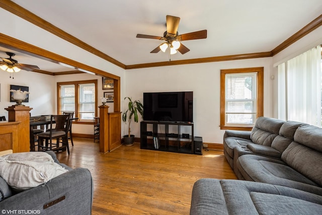 living room featuring ceiling fan, wood-type flooring, and crown molding