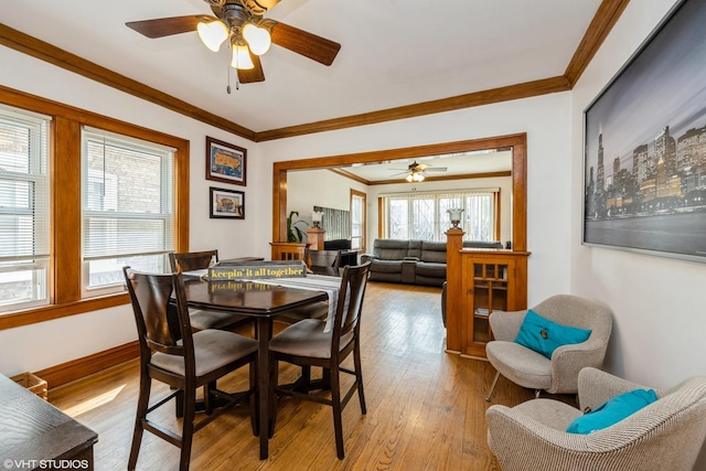 dining room with light hardwood / wood-style flooring, ceiling fan, and crown molding