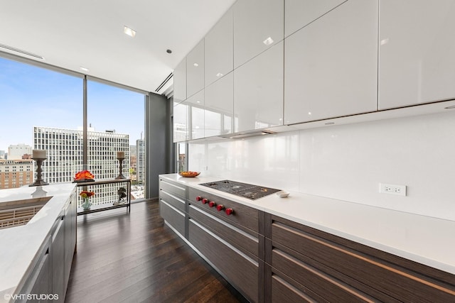 kitchen featuring backsplash, white cabinetry, floor to ceiling windows, and dark wood-type flooring