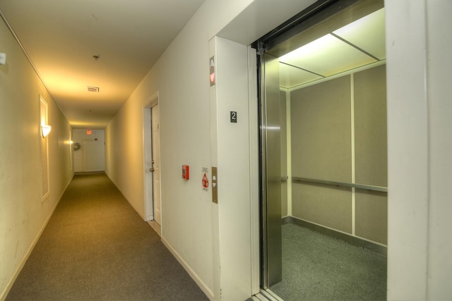 hall featuring carpet flooring and elevator