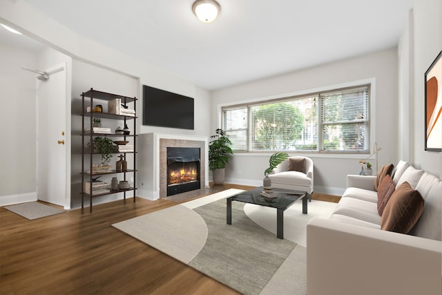 living room featuring wood-type flooring