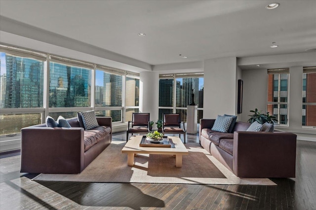 living room featuring dark wood-type flooring